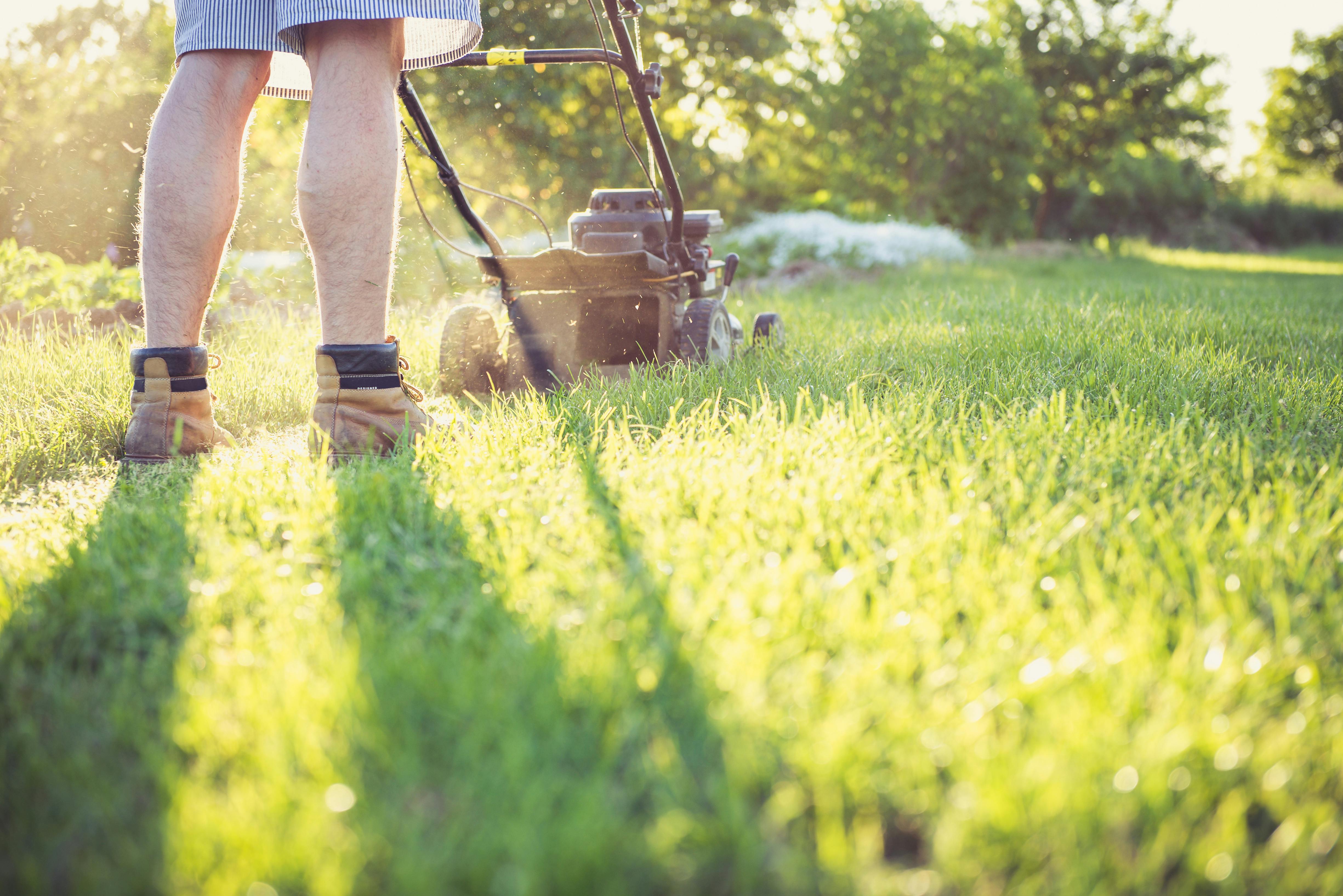 Grass cutting